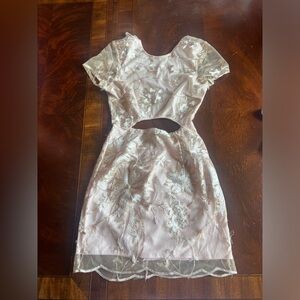 Lucy in the Sky Fleur de Lace Cutout Shift Dress- Blush Pink